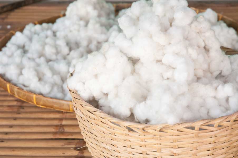 Les tissus : Tout savoir sur le coton